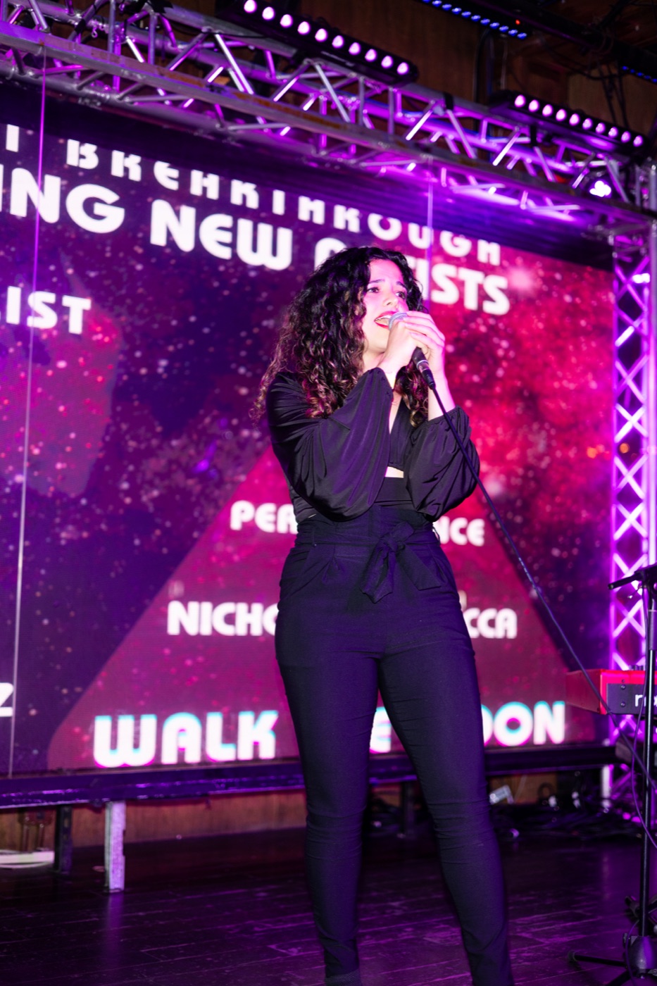 RISE UP! California Fire Foundation Fundraiser